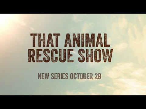 That Animal Rescue Show'