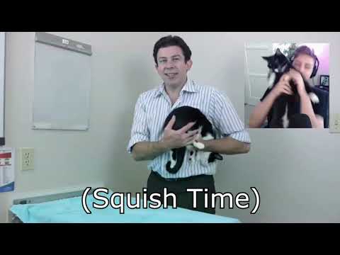 Squish Time