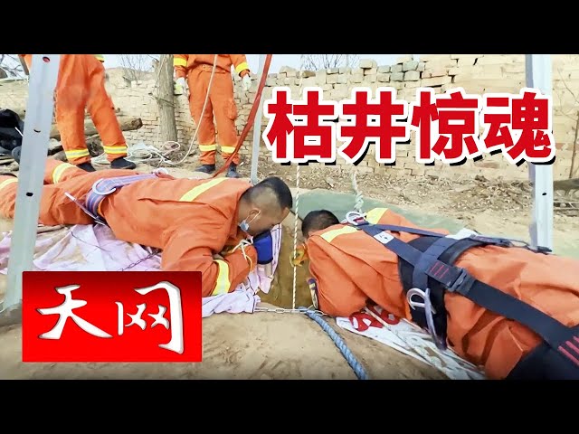 《天网》5岁女童坠入20米“针孔”井 消防与小姨上演“倒挂接力”生死营救！20250709