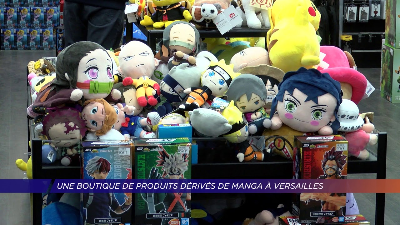 Yvelines | Une boutique de produits dérivés de manga à Versailles