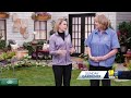 Ways to keep your lawn healthy and geen(WBAL) - 03:07 min - News - Video