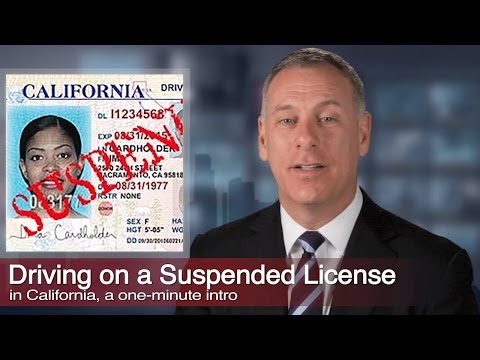 323-464-6453  More suspended license legal info: http://www.losangelescriminallawyer.pro/driving-on-a-suspended-revoked-license.html

Call for a free consultation with the Kraut Law Group 24 hours-a-day, seven days-a-week, for help with your suspended license legal case. ...