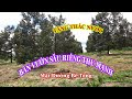 Bán vườn sầu riêng thu mạnh giá chỉ 1 tỷ 200/1ha Bán vườn sầu riêng thu mạnh giá chỉ 1 tỷ 200/1ha