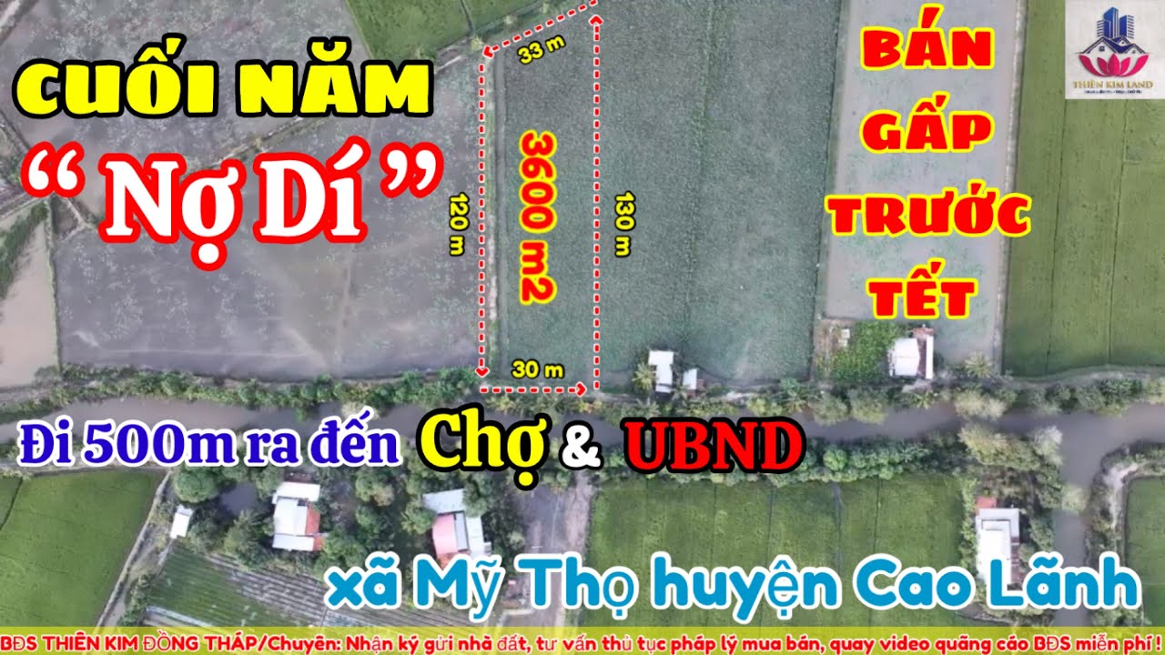 Bán 3 công lớn đất ruộng gần chợ Tân Hội Trung, huyện Cao Lãnh; 30 x 120m; 3600m2; 760 triệu video