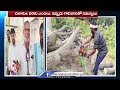 Farmers Worried Over Loss Of Mango Fields At Kollapur | V6 News  - 10:54 min - News - Video