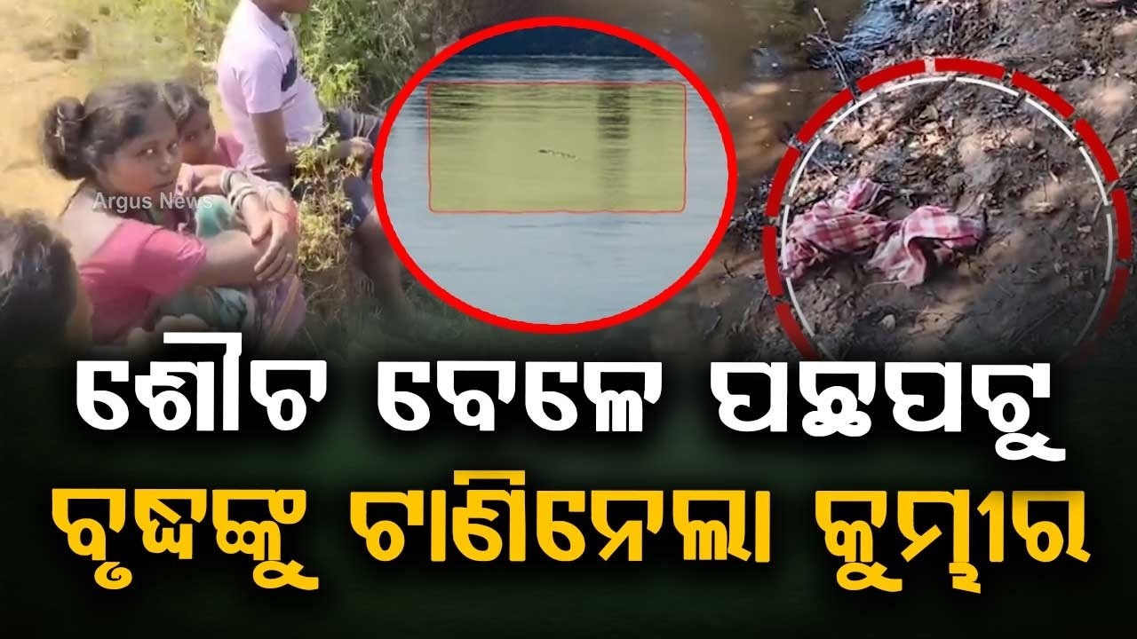 ବୃଦ୍ଧଙ୍କୁ ଟାଣିନେଲା କୁମ୍ଭୀର |Crocodile Drags Elderly Man Into Kharasrota River In Jajpur | Argus News