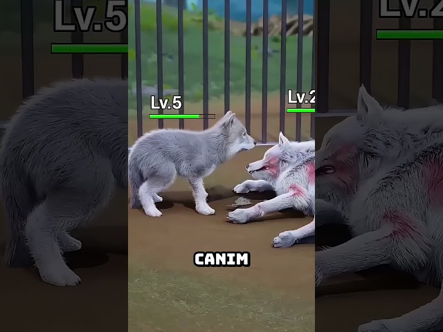 Yavru köpek annesini kurtarmaya çalışıyor! 🐶❤️