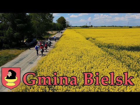 Serwis Informacyjny Gminy Bielsk #43