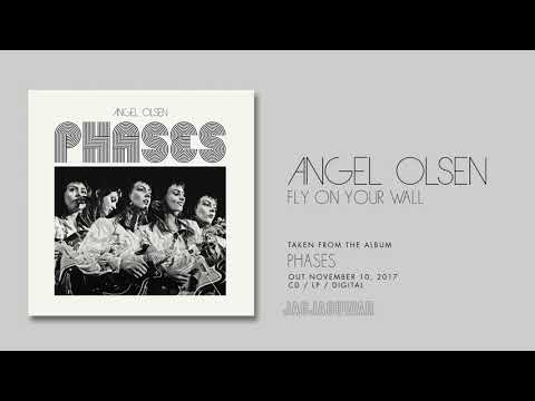 Angel Olsen - Fly On Your Wall (Official Audio)