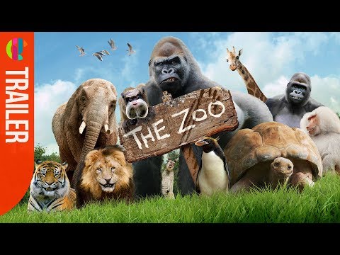 The Zoo'
