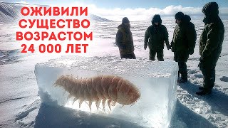 Древнее существо только что пробудилось?! Плюс еще больше замороженных находок