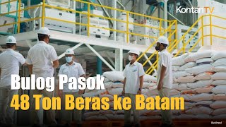 Redam Impor Ilegal, Bulog Pasok 48 Ton Beras Premium ke Batam