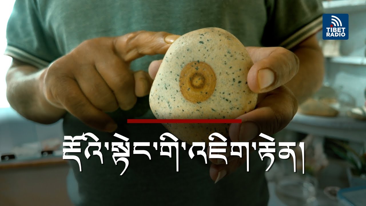 Universe on Stones | Ladakhi Teacher’s 30-Year Collection in Remote Village