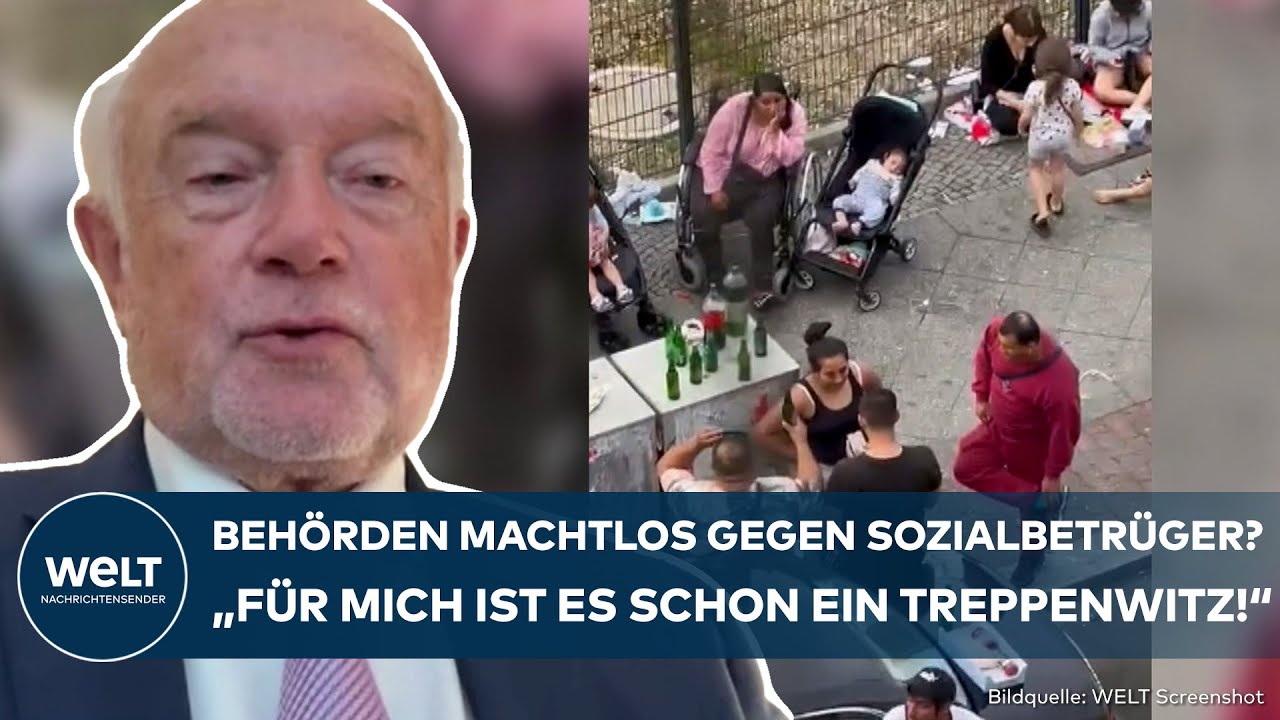 DEUTSCHLAND: Behörden machtlos gegen Sozial-Mafia! "Rechtsstaat gibt sich auf"! Kubicki rechnet ab