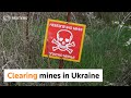 Clearing mines in Ukraines Borodyanka
