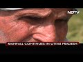 Unseasonal Rainfall Damages Crop, UP Farmer Suffers Heavy Loss - 03:14 min - News - Video
