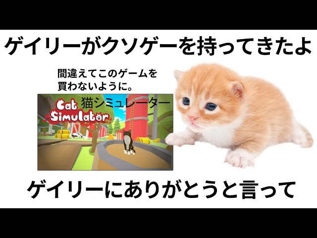 【クソゲイリー】2000円の価値は絶対ない100点中2点のクソゲー【猫シミュレーター】
