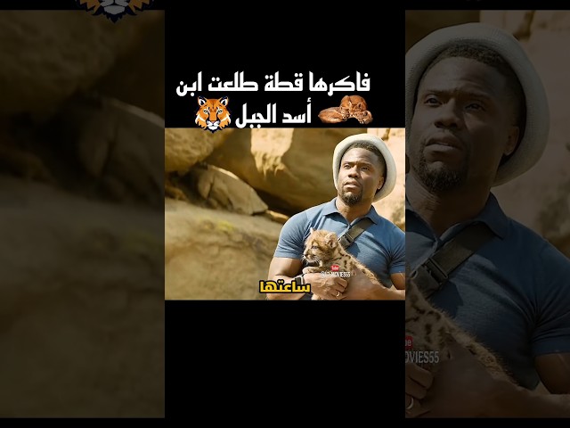 فاكرها قطة طلعت ابن أسد الجبل #shorts