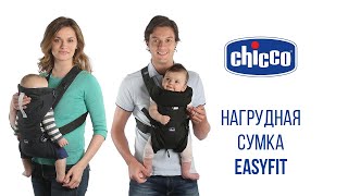 CHICCO Easy Fit (79154.34)