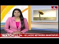 కొత్తపల్లి గీత ప్రచారంలో ప్రత్యేక ఆకర్షణగా మహిళా బౌన్సర్లు |Kothapalli Geetha Election Campaign|hmtv  - 01:21 min - News - Video