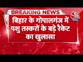 Breaking News: Bihar के Gopalganj में पशु तस्करों के रैकेट का खुलासा | Gopalganj 19 Camels Seized  - 00:31 min - News - Video