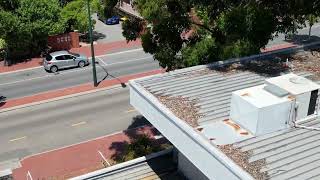 Aerial examination of a building’s roof to examine buildup of tree debri and leaf litter buildup