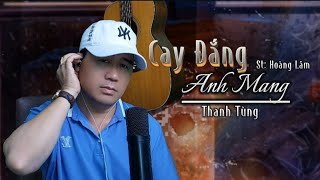 Cay Đắng Anh Mang [ Sáng Tác: Hoàng Lâm ] Nhạc Hot Tiktok ☘️ Anh và em có duyên nhưng không nợ