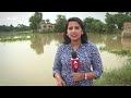 Odisha Floods: Pipili block से देखिए जलजमाव, चारों तरफ तबाही से दुबे खेत | ABP News - 01:22 min - News - Video