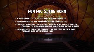 Horn