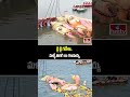 Khairatabad Ganesh Immersion 2025 : బై బై గణేశా.. మళ్ళీ తిరిగి రా గణపయ్య | Hmtv  - 02:37 min - News - Video