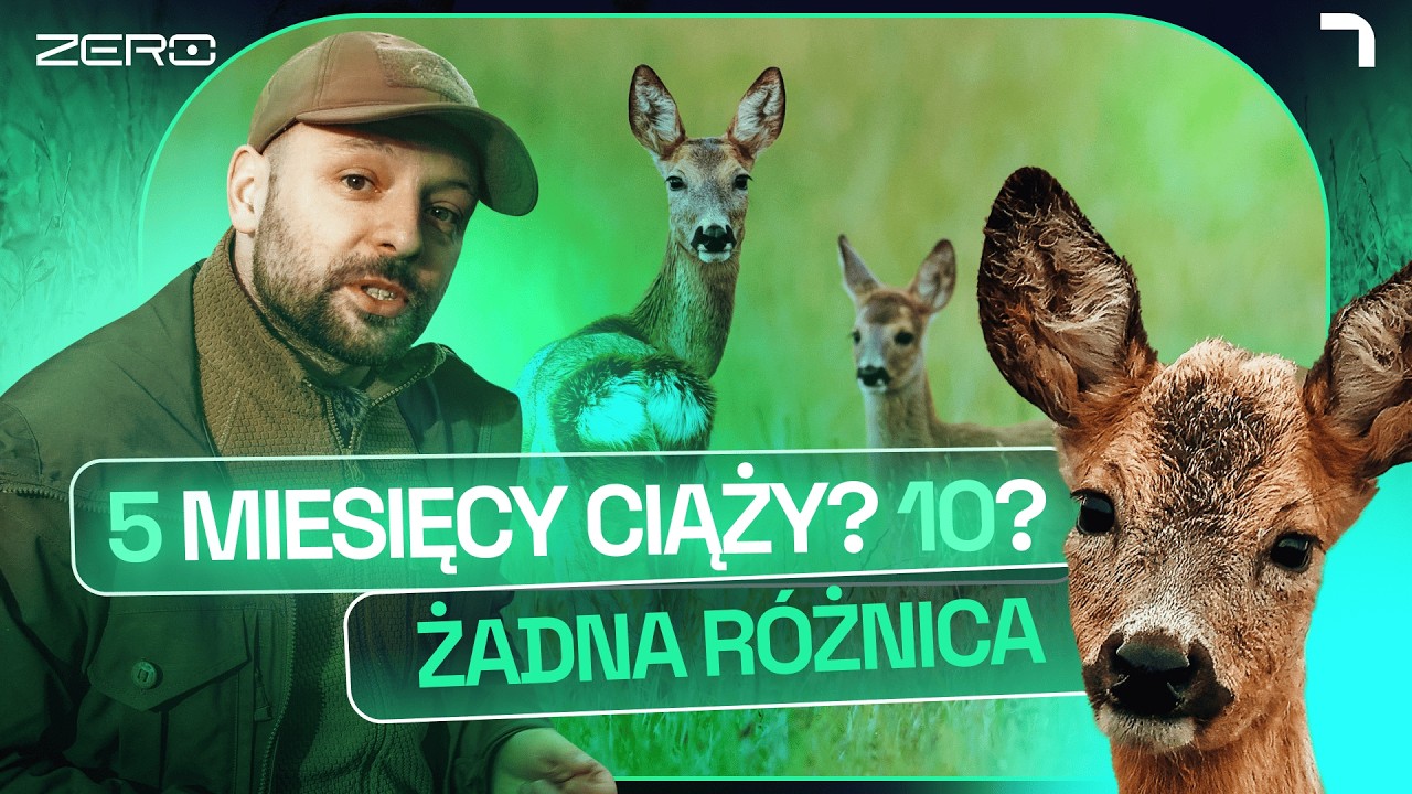 TAK ROZMNAŻAJĄ SIĘ SARNY. MAJĄ METODĘ, KTÓRA NIE MIEŚCI SIĘ LUDZIOM W GŁOWIE | GATUNEK ZERO #44