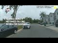 Florida deputy mistakes falling acorn for gunshot, fires into patrol car with handcuffed man inside  - 01:37 min - News - Video