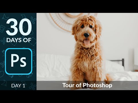 Let's Take a Tour of Photoshop! | Day 1