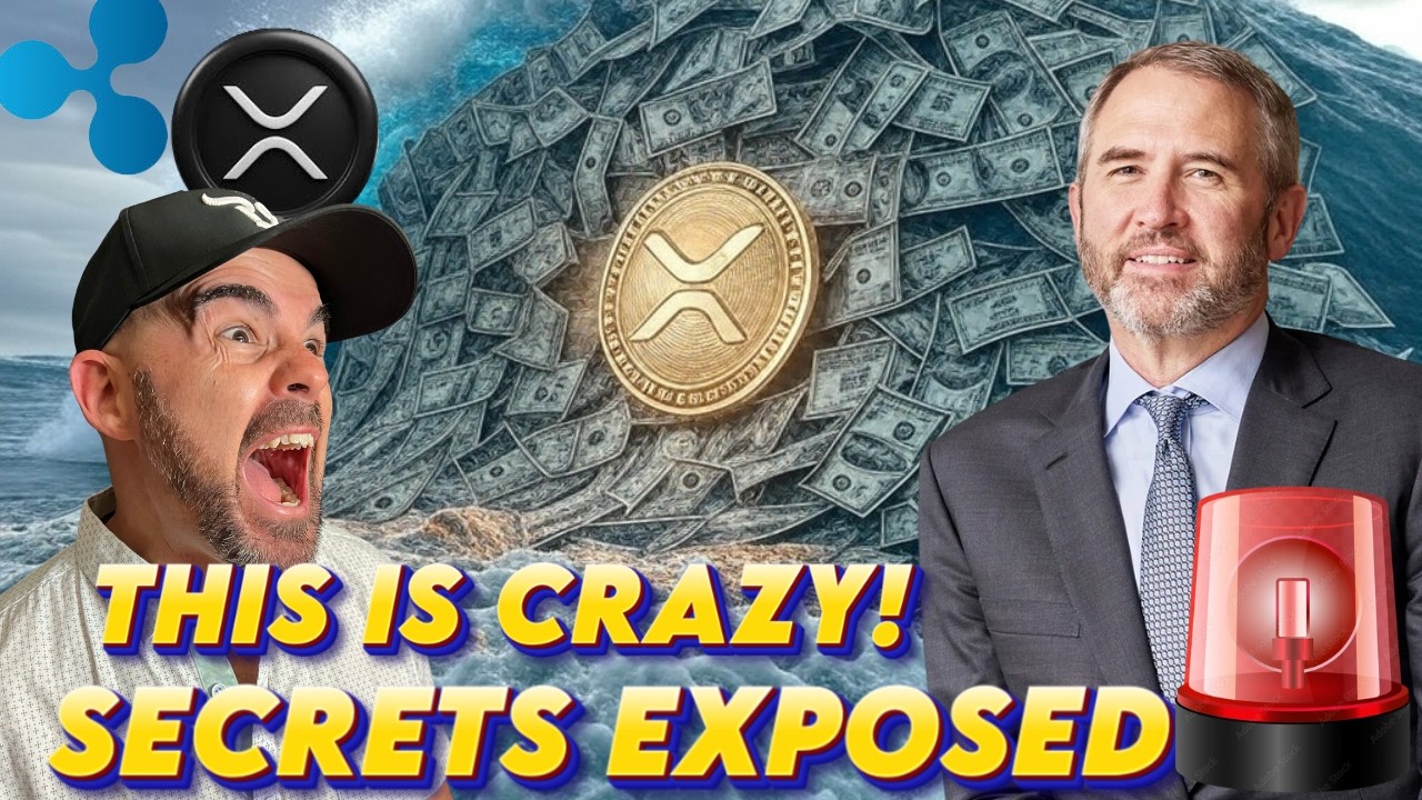 Ripple XRP CEO vs IMF: The Chat That Could 100X Your XRP Holdings
