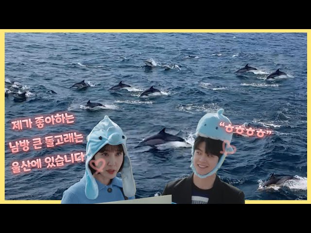 이준호씨 이번 데이트코스는 울산 장생포입니다🐳 (우영우, 고래)