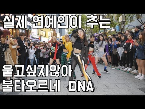 실제 연예인이 추는 커버댄스!! 울고싶지않아 | 불타오르네 | DNA (춤추는곰돌 AF STARZ)