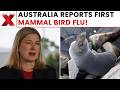 Is H5N1 Bird Flu Spreading From Birds To Mammals In Australia?