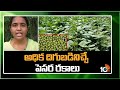అధిక దిగుబడినిచ్చే పెసర రకాలు |  Green Gram Cultivation | Matti manishi | 10TV News
