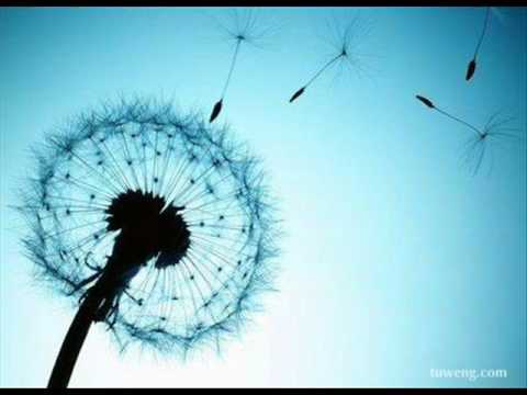 静静的-庾澄庆