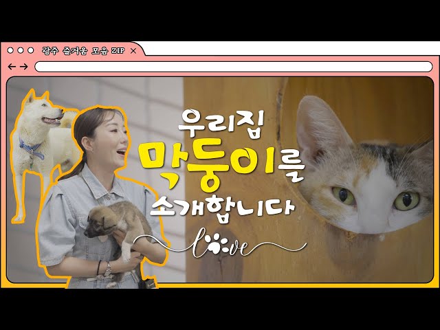 [입양하는🐶 어떨까🐱] 우리집 막둥이를 소개합니다~~