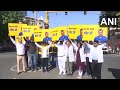 Kejriwal News Today ED | AAPs Doctors Wing Protests Against Arrest Of Arvind Kejriwal  - 01:23 min - News - Video