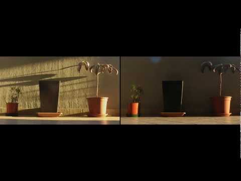 Segnoesuono - Lights & shadows