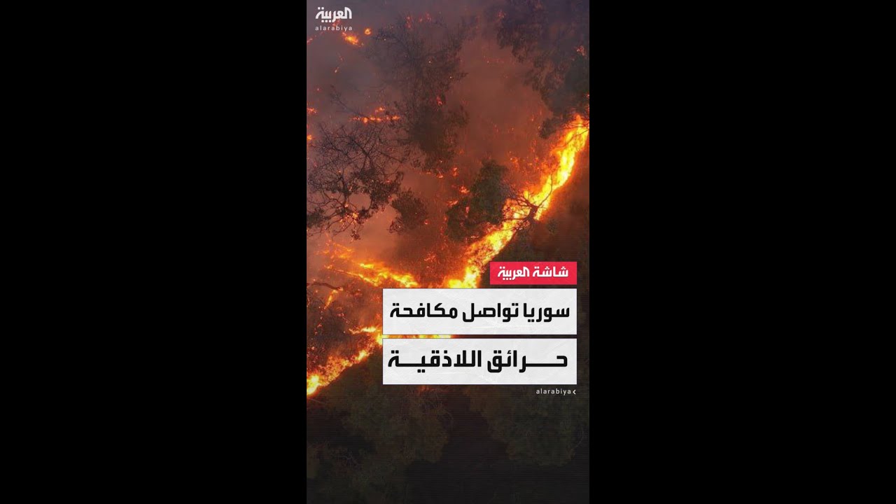 الدفاع المدني السوري يؤكد استمرارية الجهود الميدانية والجوية لإخماد حرائق ريف اللاذقية المستمرة