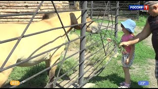Большереченский зоопарк празднует 35-летие