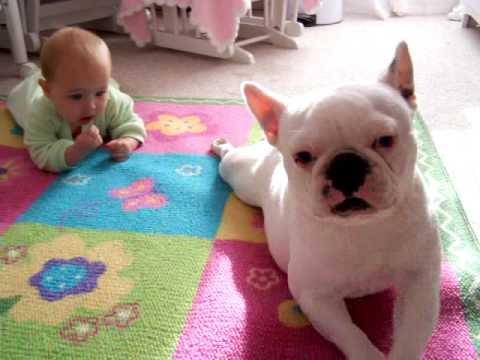 Куче учи бебе да лази