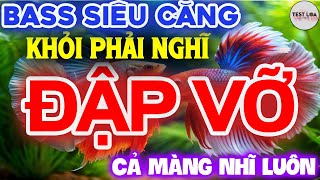 NHẠC TEST LOA 8D CỰC CHUẨN, Nhạc Sống Hòa Tấu Disco Remix Không Lời BASS CĂNG CỰC PHÊ