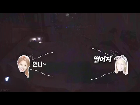 소녀시대 리더 태연과 막내 서현이 노는 방법 (ft.대형견과 소주인)
