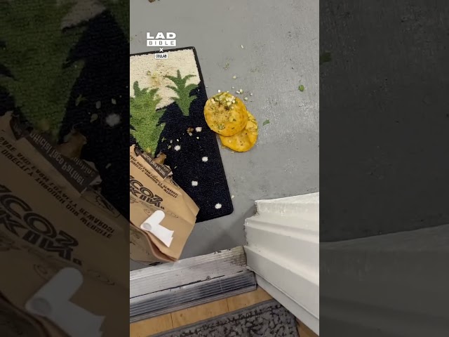I ordered tacos and had a shower... when I went to get them this is what I found 😅 (🎥: Collab)