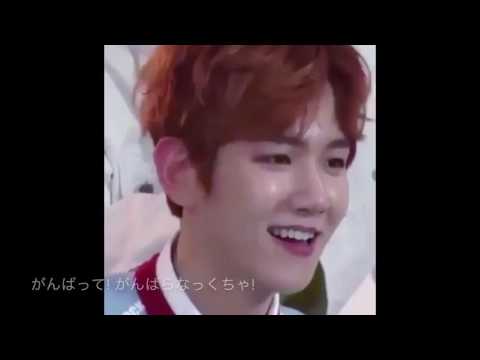 EXO Byun Baekhyun {funny/cute/PPAP/etc.} moments