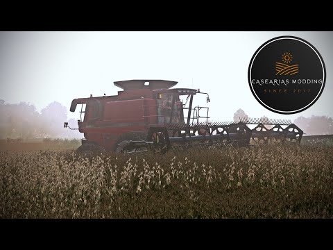 MacDon 974, CNH Flex-Draper v1.0.0.0